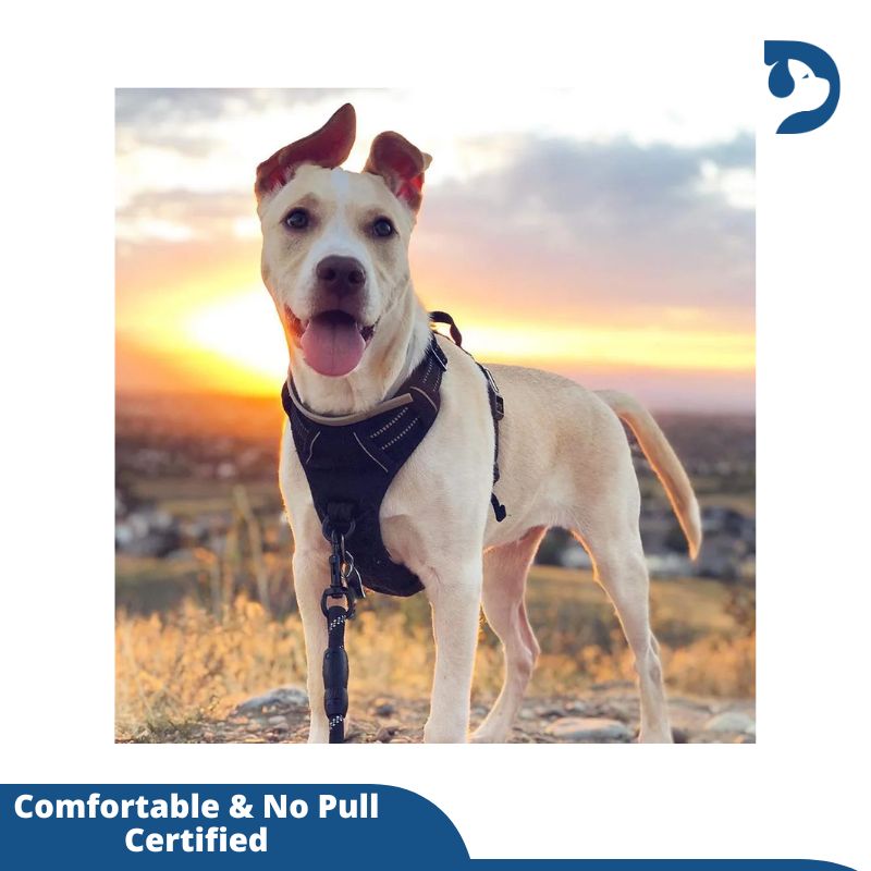 Soft-Padded, Reflective, Easy-Control No-Pull Dog Harness