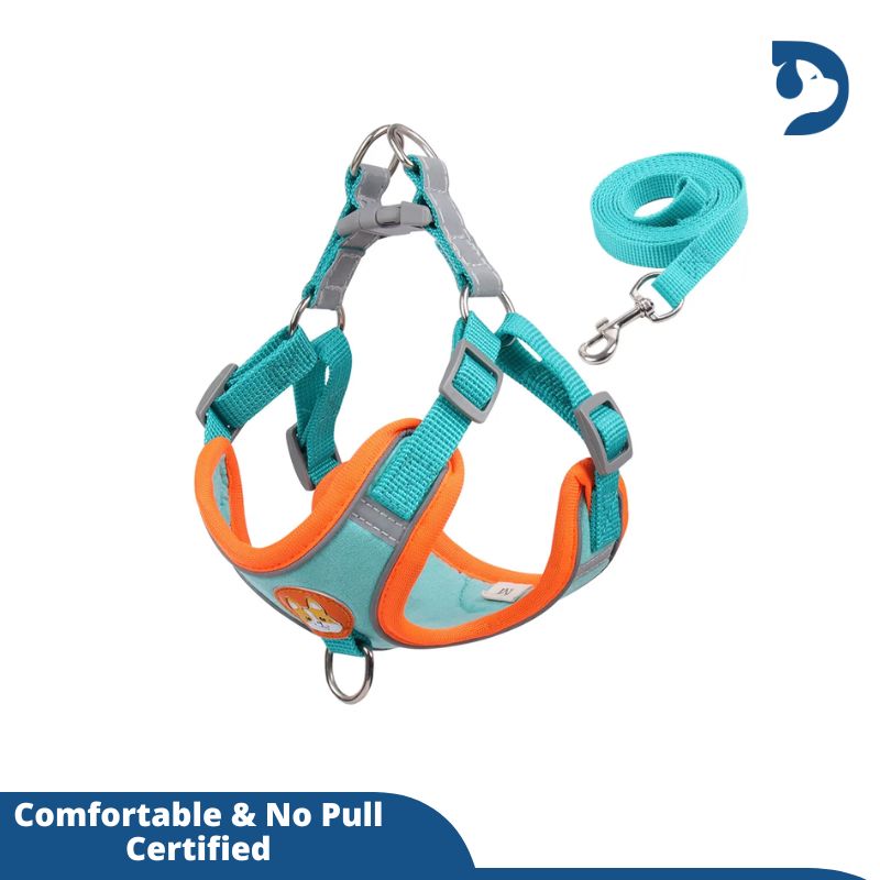 Reflective Adjustable Harness with Leash Set For Small Dogs