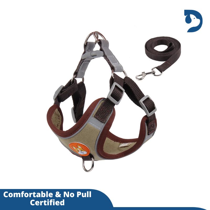 Reflective Adjustable Harness with Leash Set For Small Dogs