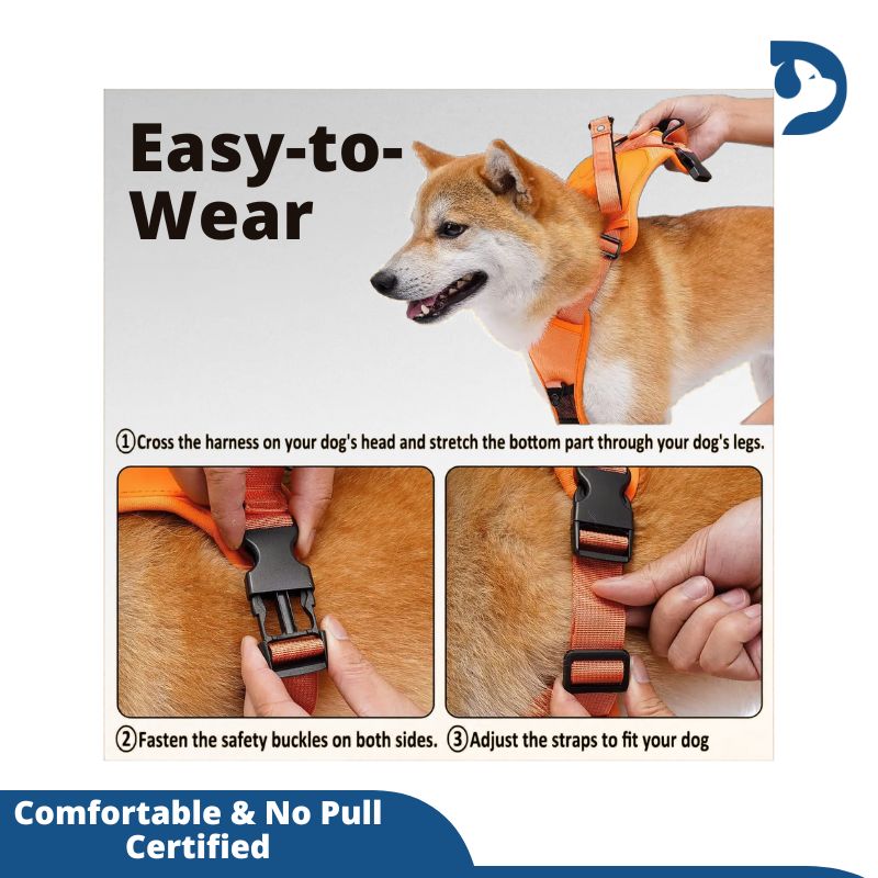 Retractable 3-in-1 Built-in Leash Dog Harness