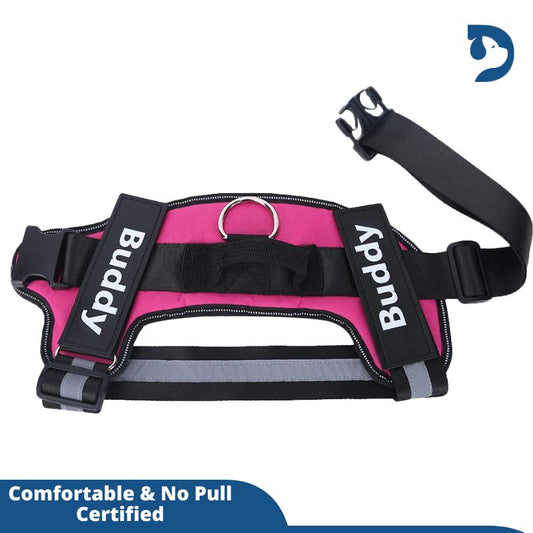 Custom No Pull Dog Harness with Name and Phone Number