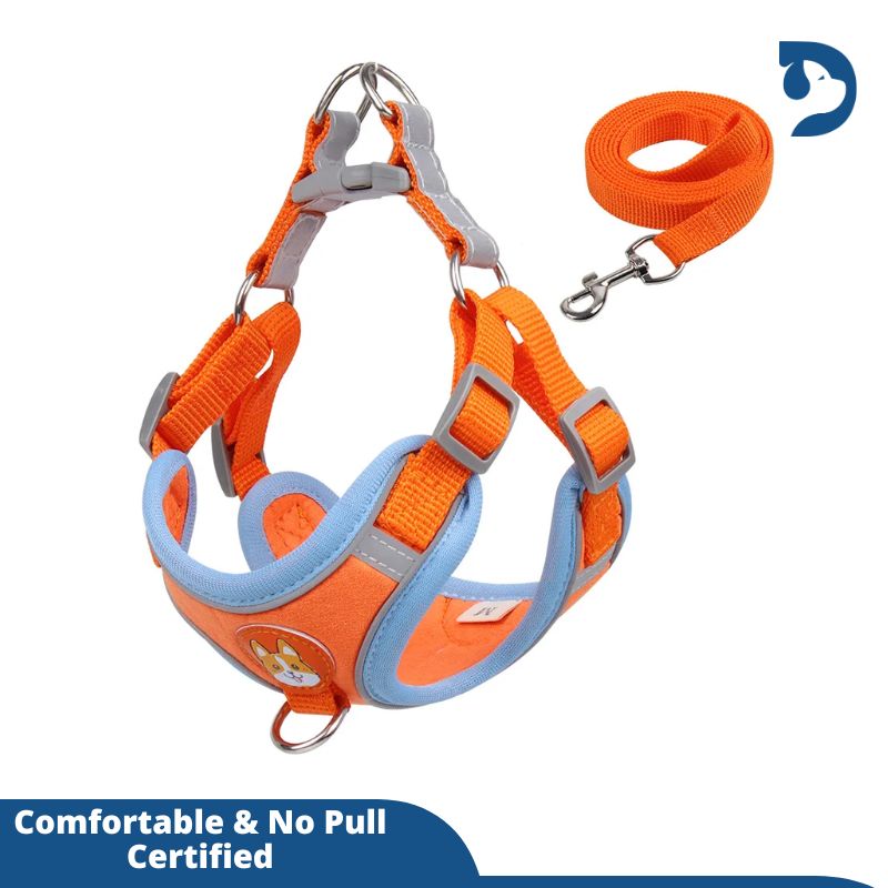 Reflective Adjustable Harness with Leash Set For Small Dogs