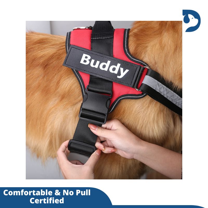 Custom No Pull Dog Harness with Name and Phone Number