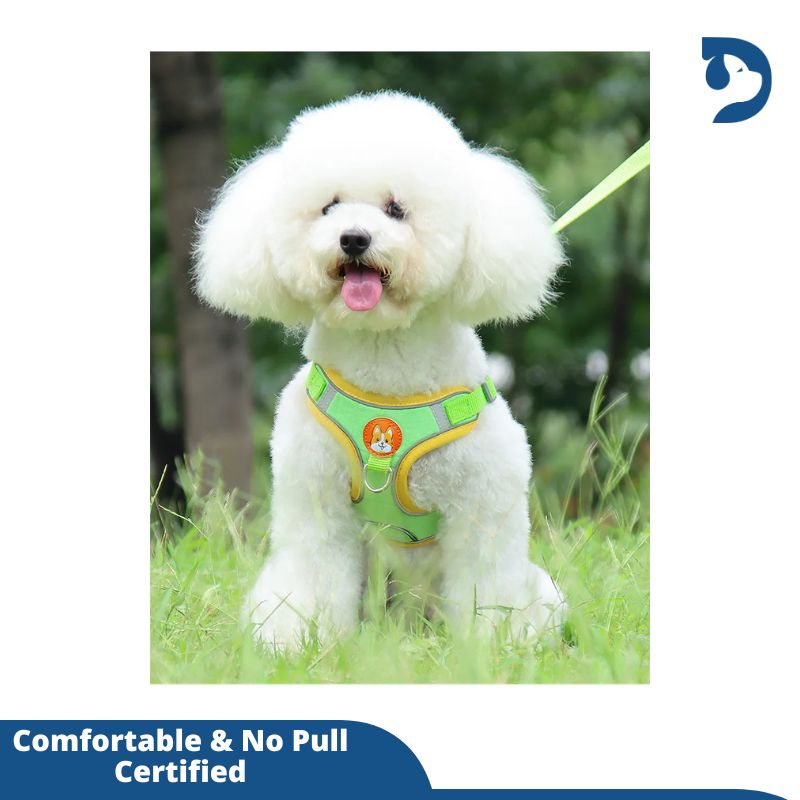 Reflective Adjustable Harness with Leash Set For Small Dogs