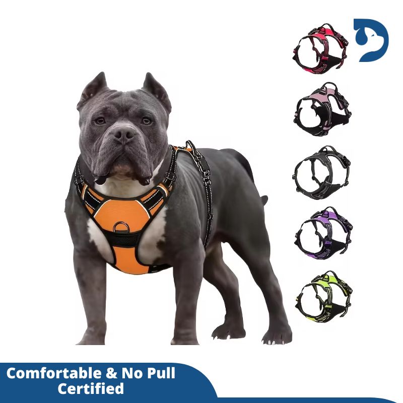 Adjustable Dog Harness Vest with Night Reflective Strip for Outdoor Walking