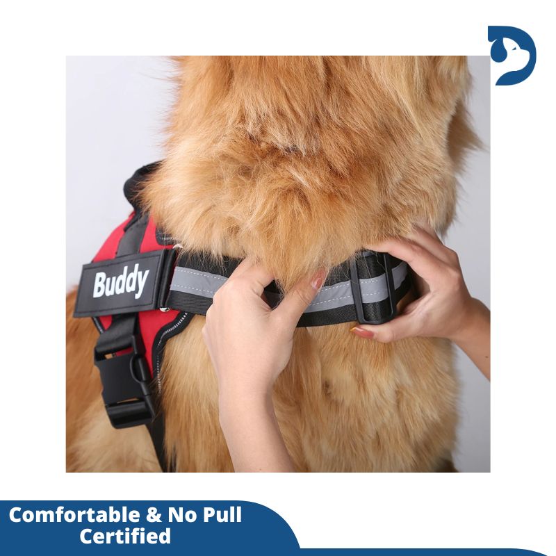 Custom No Pull Dog Harness with Name and Phone Number