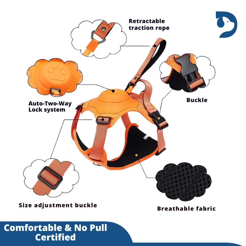 Retractable 3-in-1 Built-in Leash Dog Harness