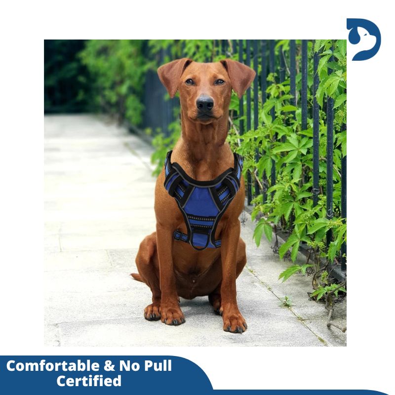 Breathable Reflective No-Pull Dog Harness