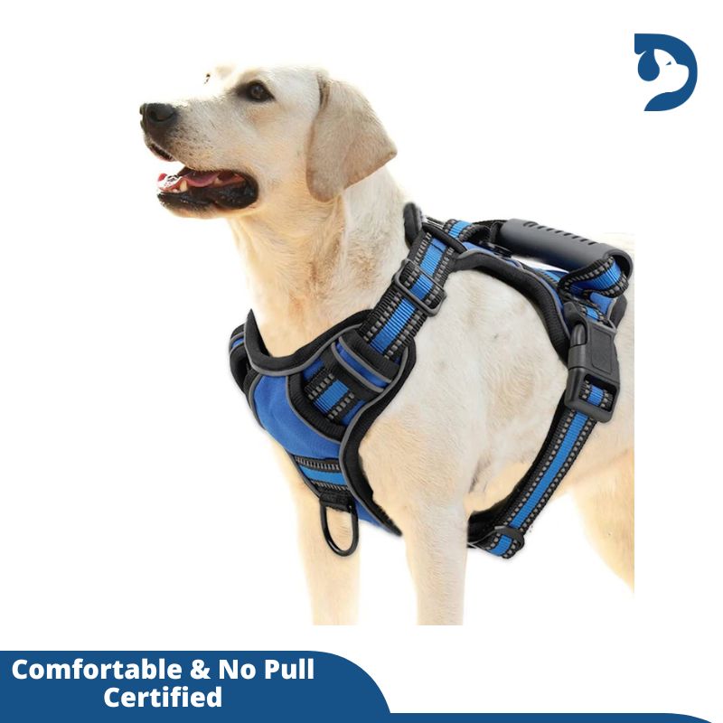 Breathable Reflective No-Pull Dog Harness