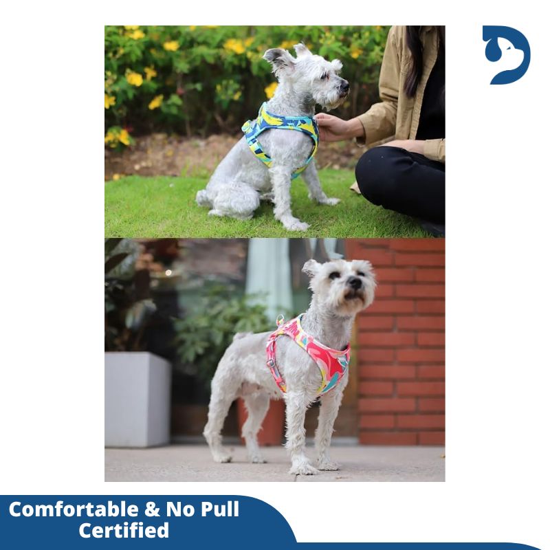 New Dog Cat Harness Adjustable Vest with Leash