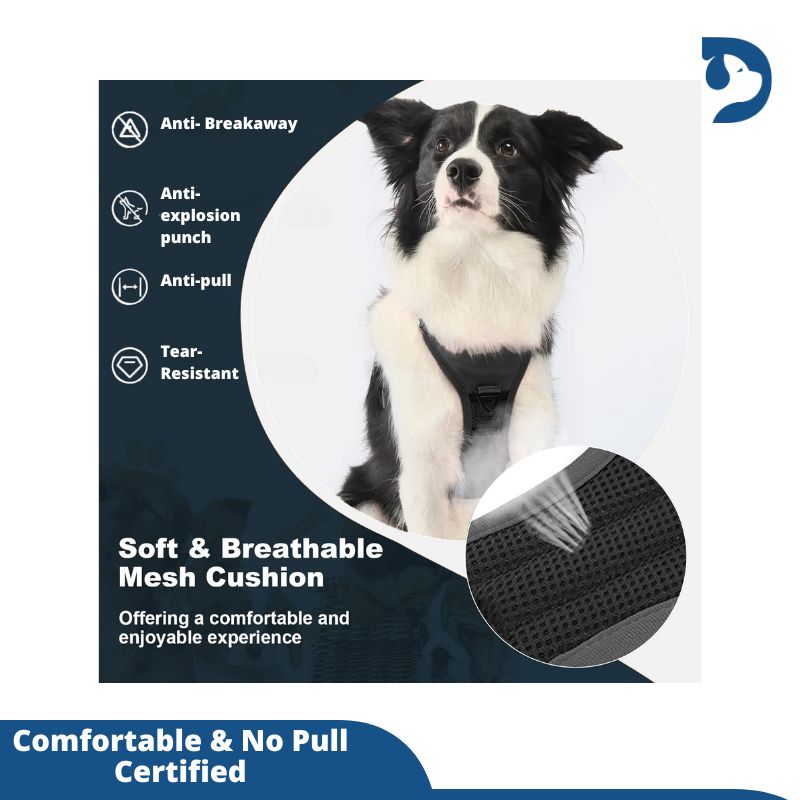 Retractable 3-in-1 Built-in Leash Dog Harness