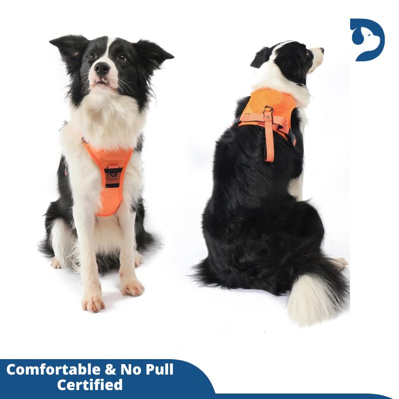 Retractable 3-in-1 Built-in Leash Dog Harness