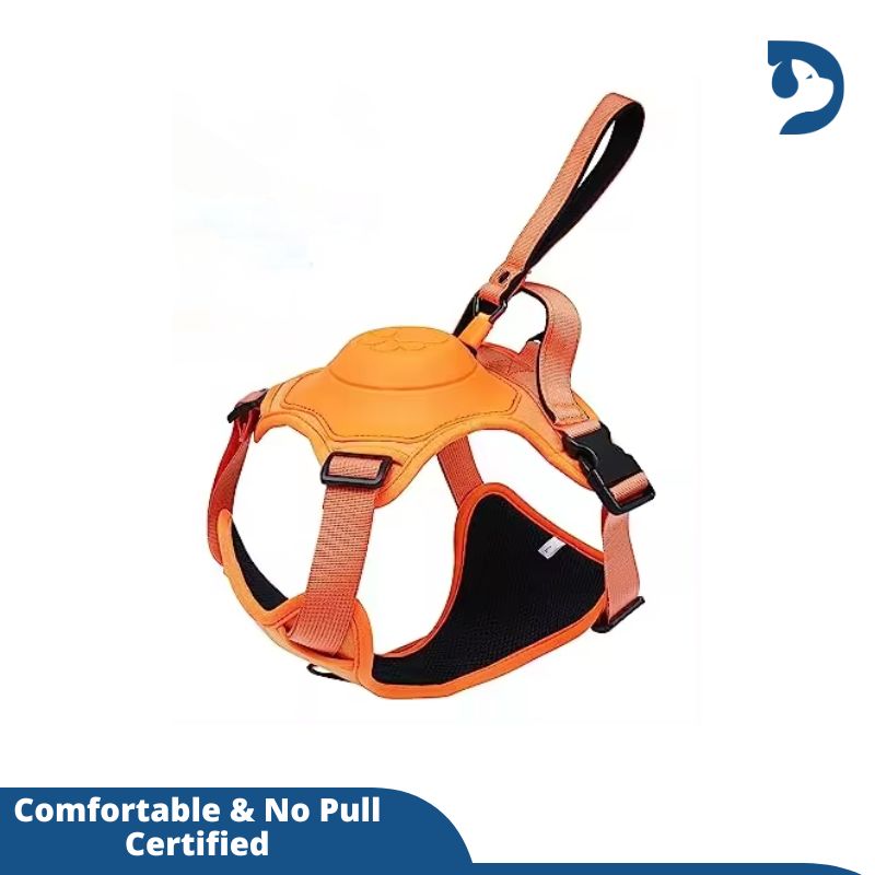 Retractable 3-in-1 Built-in Leash Dog Harness