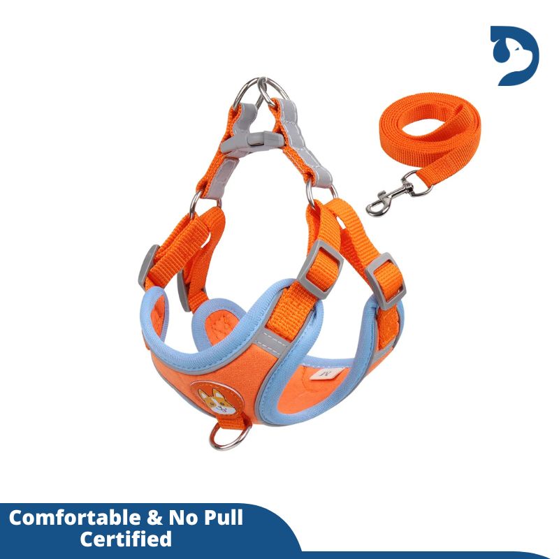 Reflective Adjustable Harness with Leash Set For Small Dogs