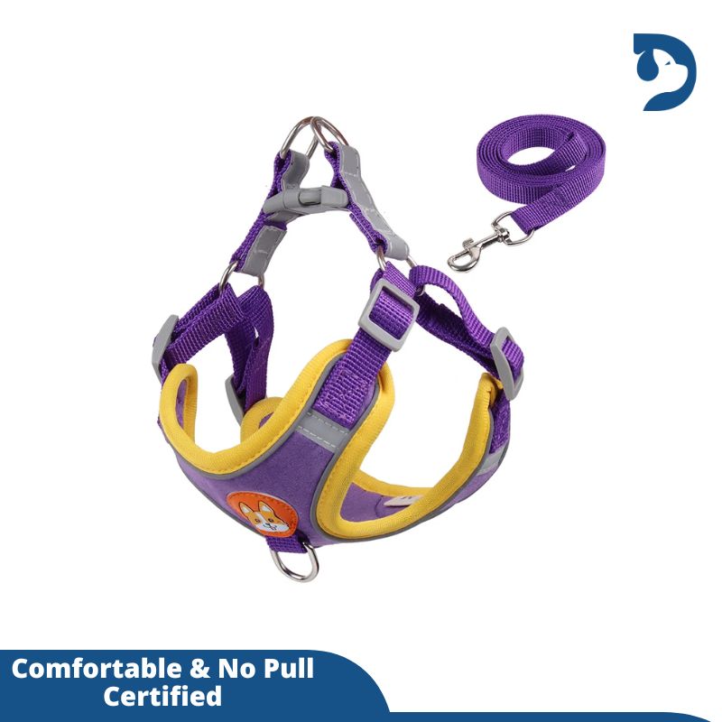 Reflective Adjustable Harness with Leash Set For Small Dogs