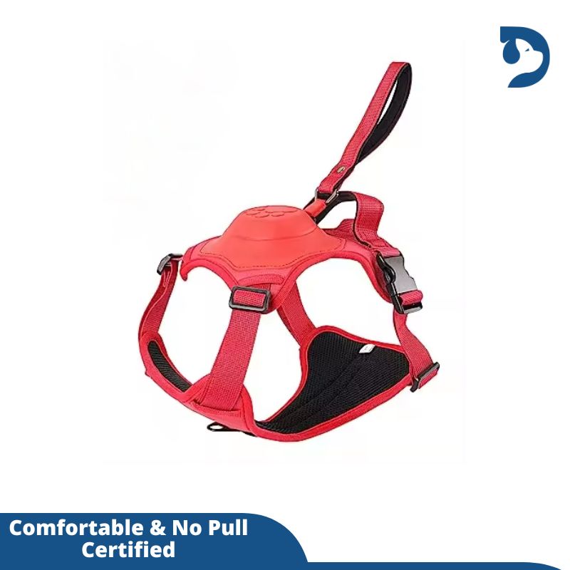 Retractable 3-in-1 Built-in Leash Dog Harness