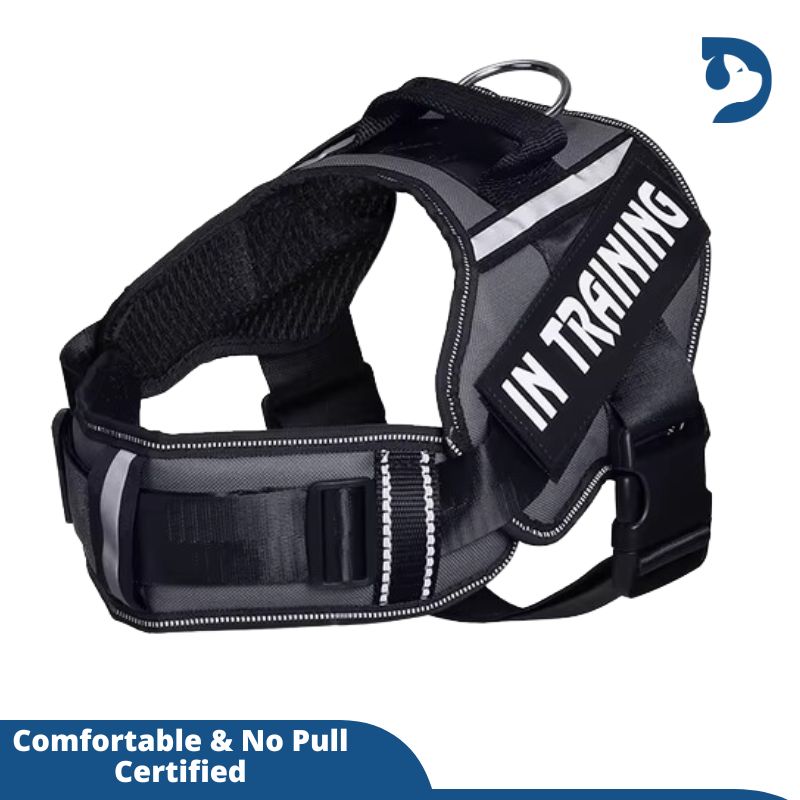 Personalized Adjustable Nylon Dog Harness with Reflective, Breathable Neck Guard - No Pull Vest for Dogs