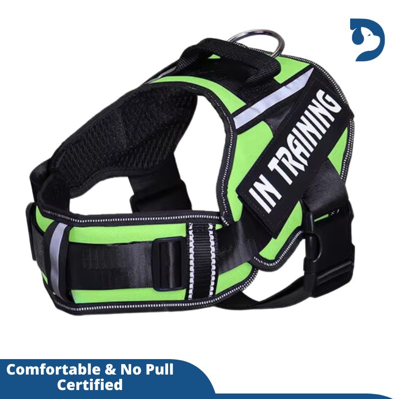 Personalized Adjustable Nylon Dog Harness with Reflective, Breathable Neck Guard - No Pull Vest for Dogs