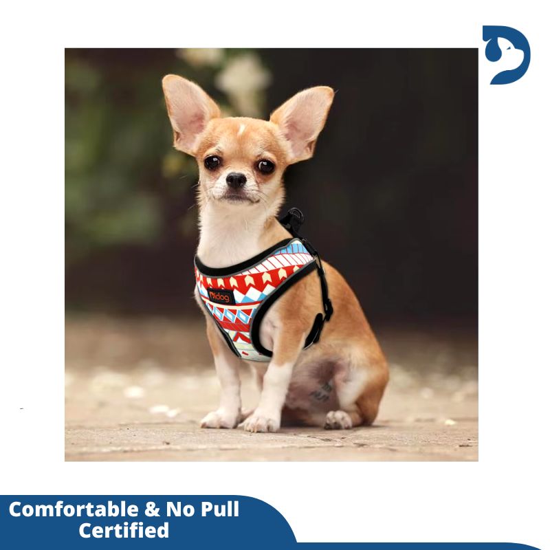 Reflective Nylon Pet Harness for Small Dogs & Cats – Stylish Printed Vest for French Bulldogs, Chihuahuas, and Puppies – Ideal for Walking and Safety