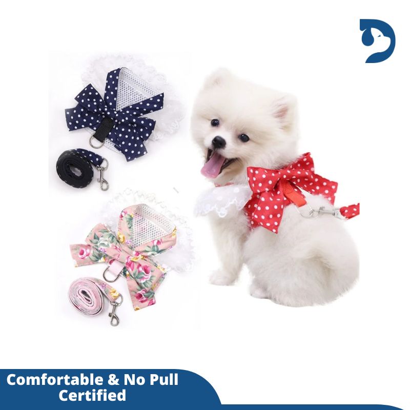 Dog Harness Beautiful Lace Cat Leash Bow Knot Chest Strap Dog Collar