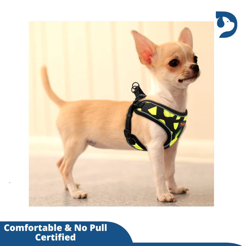 Reflective Nylon Pet Harness for Small Dogs & Cats – Stylish Printed Vest for French Bulldogs, Chihuahuas, and Puppies – Ideal for Walking and Safety