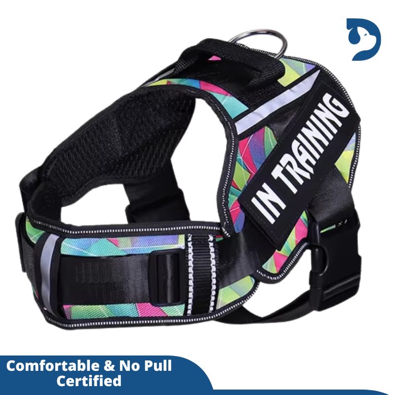 Personalized Adjustable Nylon Dog Harness with Reflective, Breathable Neck Guard - No Pull Vest for Dogs