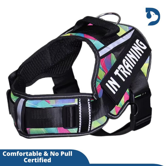 Personalized Adjustable Nylon Dog Harness with Reflective, Breathable Neck Guard - No Pull Vest for Dogs