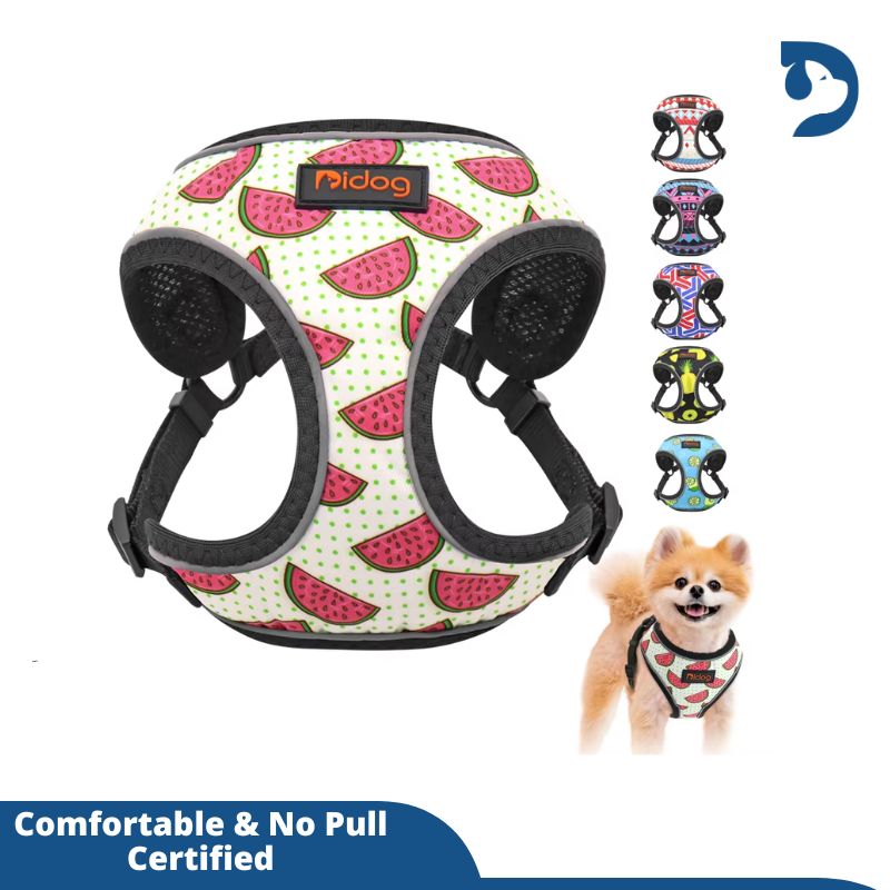 Reflective Nylon Pet Harness for Small Dogs & Cats – Stylish Printed Vest for French Bulldogs, Chihuahuas, and Puppies – Ideal for Walking and Safety