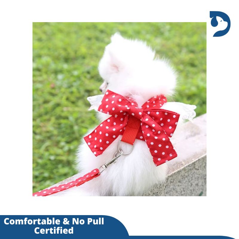 Dog Harness Beautiful Lace Cat Leash Bow Knot Chest Strap Dog Collar