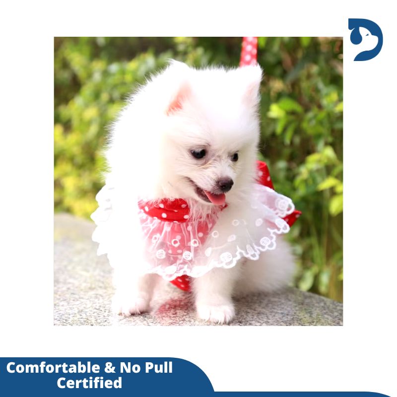 Dog Harness Beautiful Lace Cat Leash Bow Knot Chest Strap Dog Collar