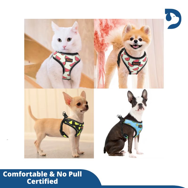 Reflective Nylon Pet Harness for Small Dogs & Cats – Stylish Printed Vest for French Bulldogs, Chihuahuas, and Puppies – Ideal for Walking and Safety