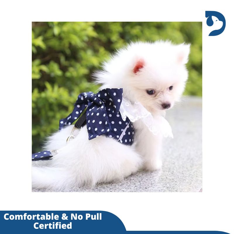 Dog Harness Beautiful Lace Cat Leash Bow Knot Chest Strap Dog Collar