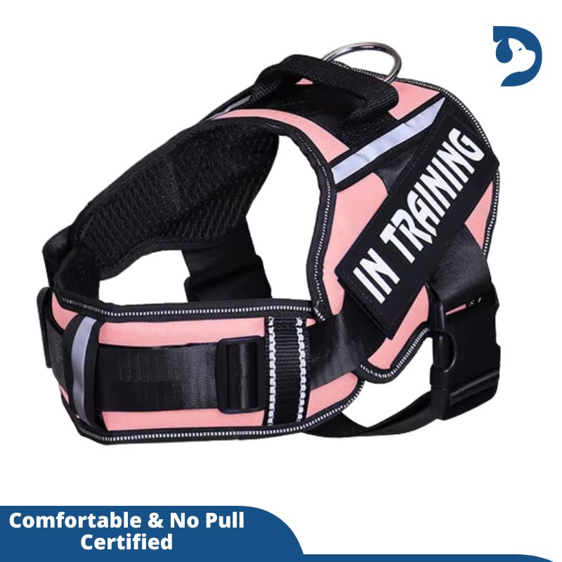 Personalized Adjustable Nylon Dog Harness with Reflective, Breathable Neck Guard - No Pull Vest for Dogs