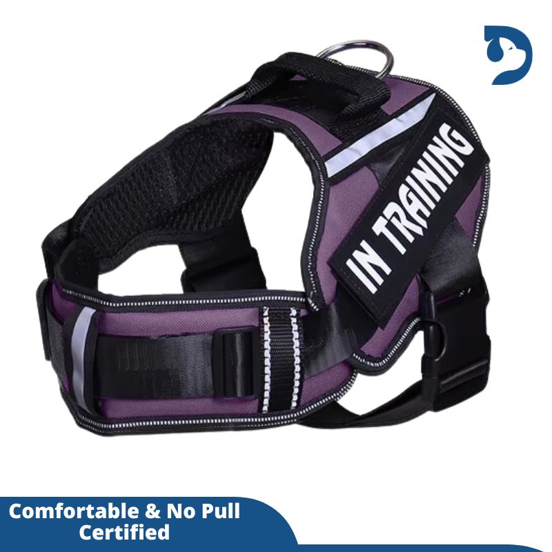 Personalized Adjustable Nylon Dog Harness with Reflective, Breathable Neck Guard - No Pull Vest for Dogs